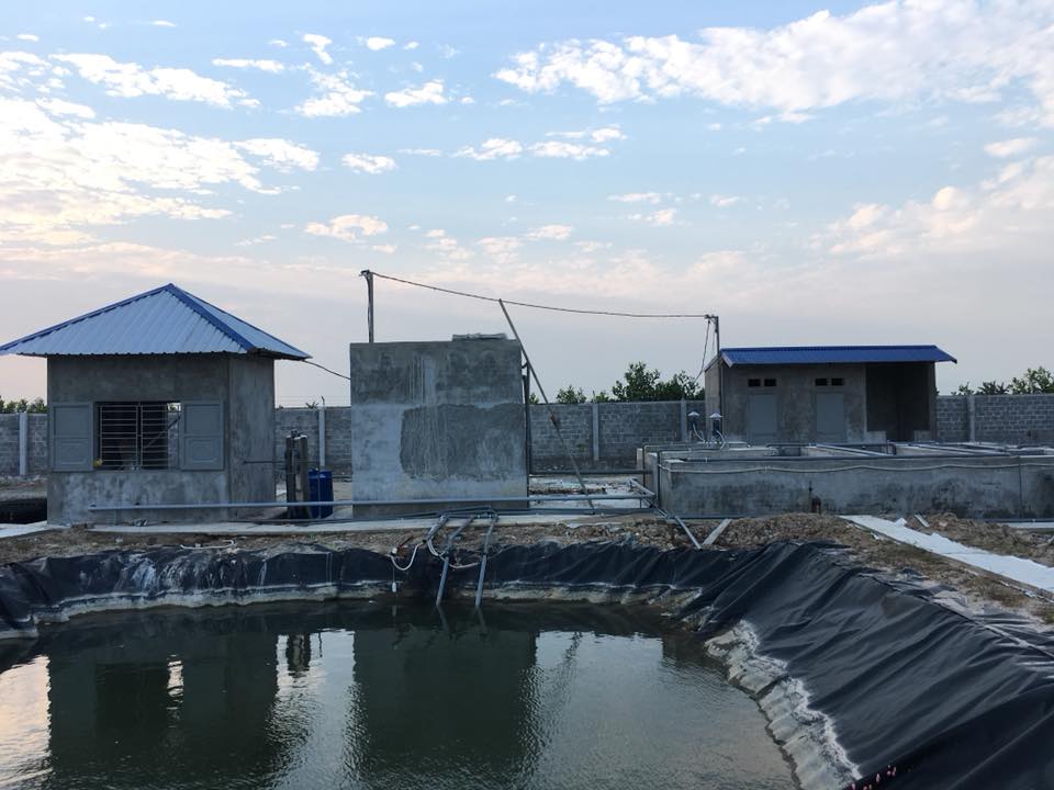 THI CÔNG XÂY DỰNG, LẮP ĐẶT TRẠM XỬ LÝ NƯỚC THẢI CHĂN NUÔI