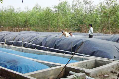 CÔNG NGHỆ XỬ LÝ NƯỚC THẢI CHĂN NUÔI BẰNG HẦM BIOGAS